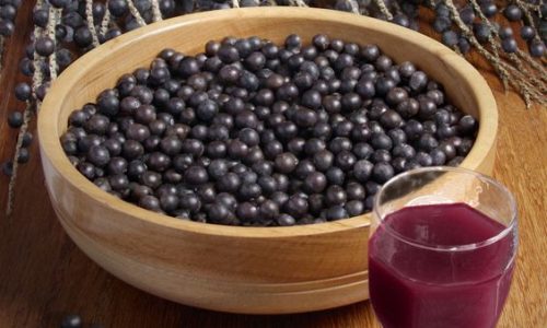 Açaí: O Superalimento Amazônico e Seus Benefícios para a Saúde